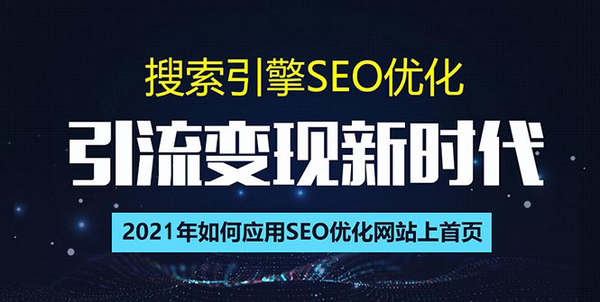 搜索引擎优化总监实战VIP课堂【透析2021最新案例】快速实现年新30w